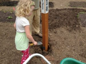 Corcoran-Community-Garden-Peace-Pole-planting-Minnesota-USA_01
