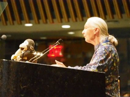Dr. Jane Goodall Photo by David Willard