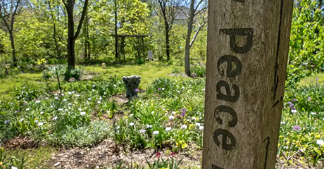 317 Project – Peace Pole stands in solidarity among Lush garden grown at Herron – Morton Place home,  Indianapolis, Indiana – USA
